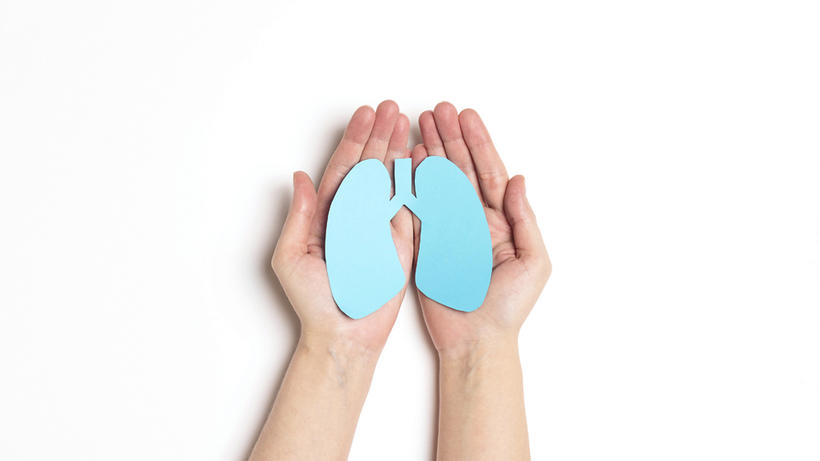 Bild: AdobeStock / WindyNight