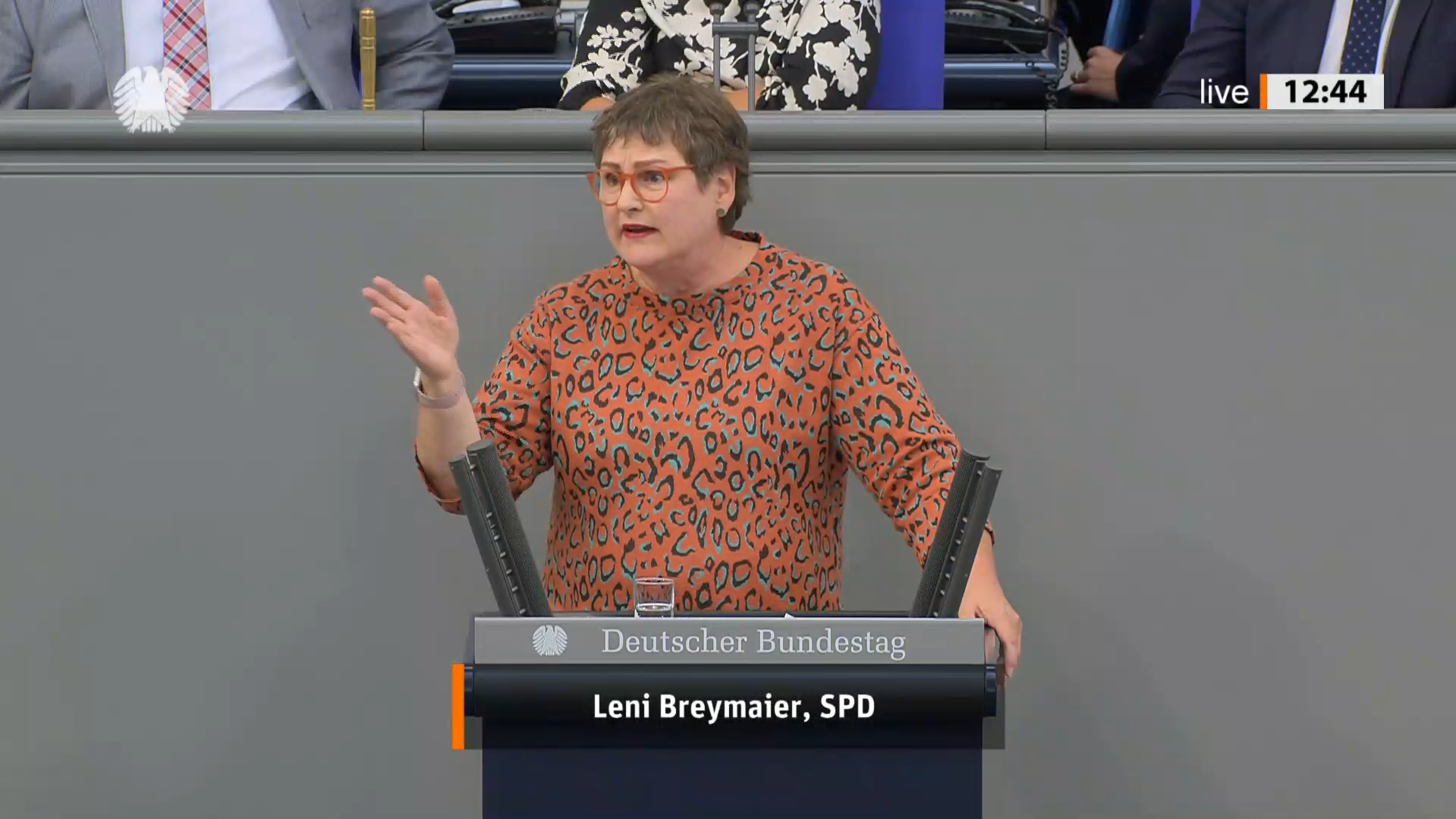 Leni Breymaier im Bundestag